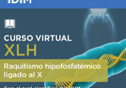 Curso_virtual_xlh